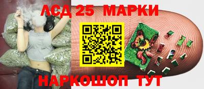 бошки Краснознаменск