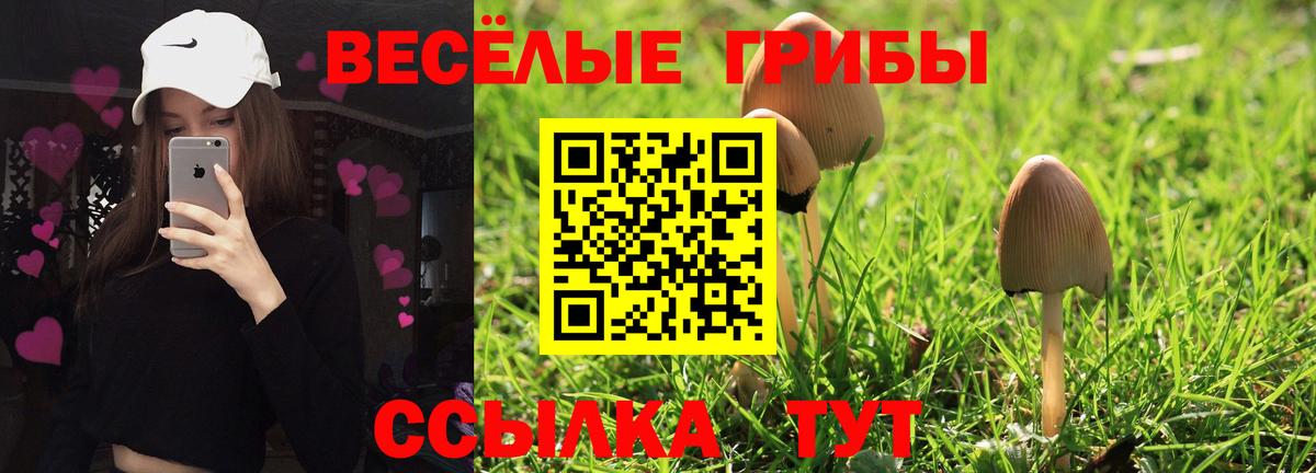 Галлюциногенные грибы ЛСД Гулькевичи